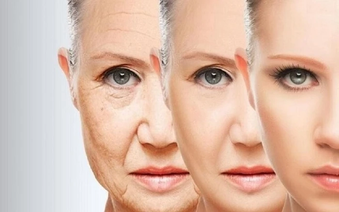 Tất cả những thắc mắc phổ biến về collagen mà bạn cần biết 3 lao hoa da