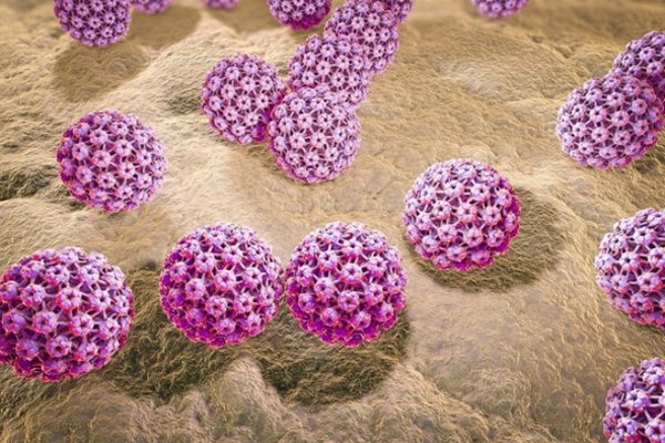 virus hpv